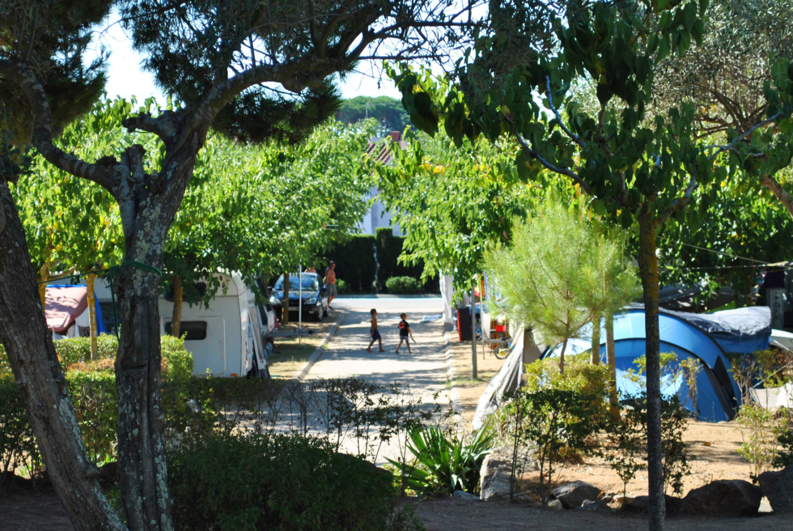 Acampada Camping Kings